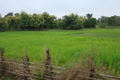 DSC04085
